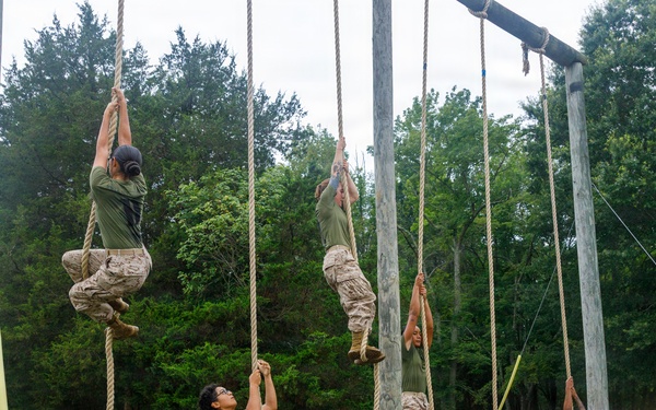OCC 252 Company D Conducts The Obstacle Course