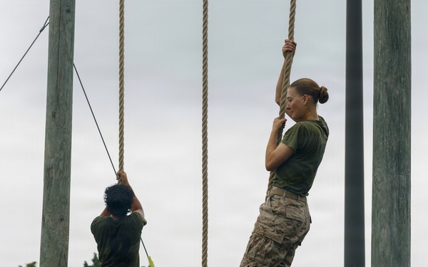OCC 252 Company D Conducts The Obstacle Course