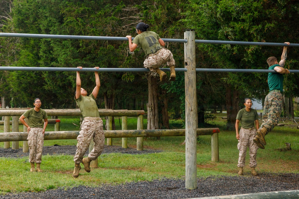 OCC 252 Company D Conducts The Obstacle Course