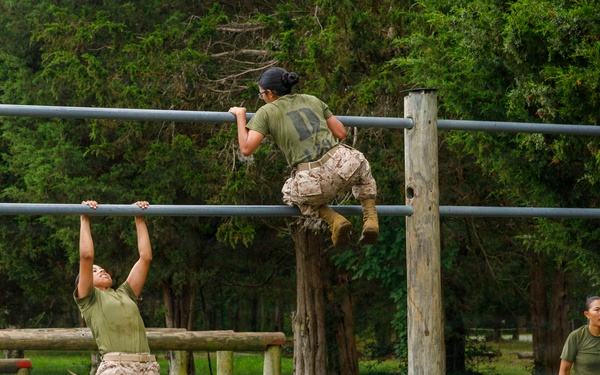 OCC 252 Company D Conducts The Obstacle Course