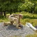436th CES Conducts Improvised Explosive Ordinance Disposal.