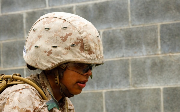 OCC 252 Company D Conducts The Leadership Reaction Course