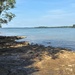 Public meeting set for J. Percy Priest Lake Water Control Manual