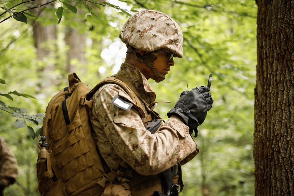 Alpha Company conducts SULE 1