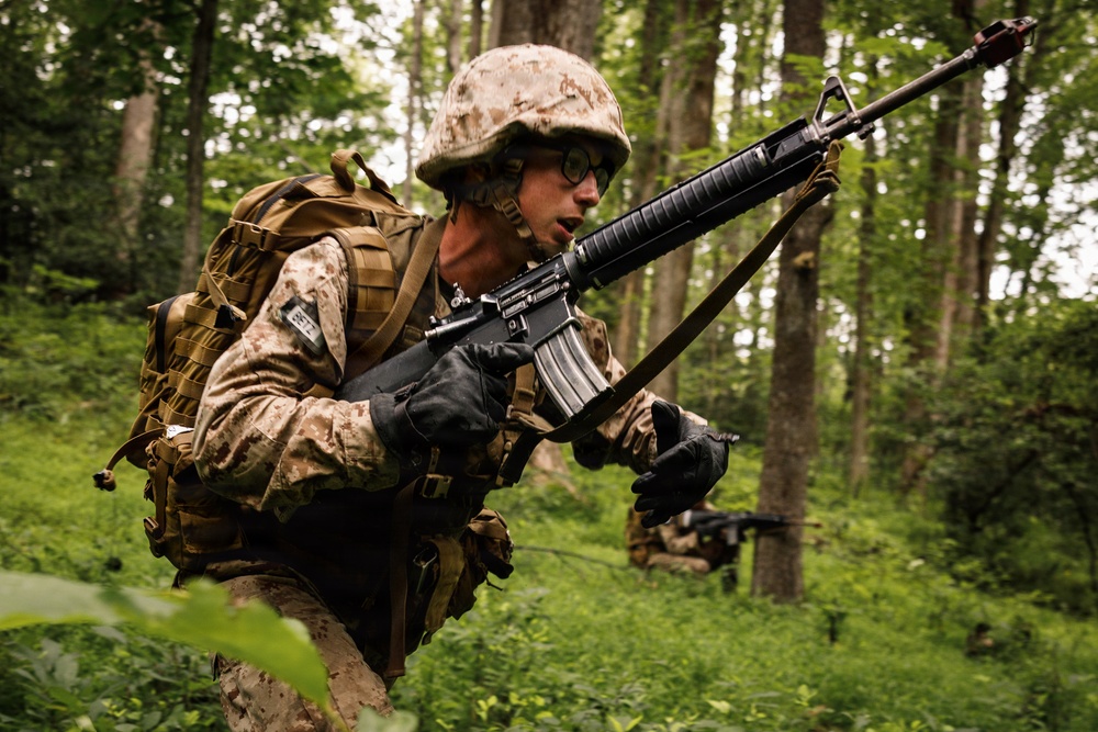 Alpha Company conducts SULE 1