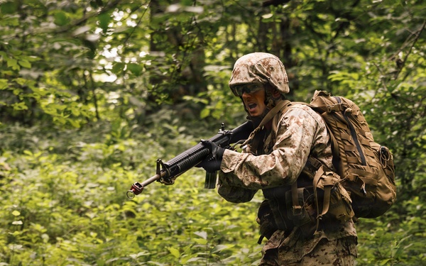 Alpha Company conducts SULE 1