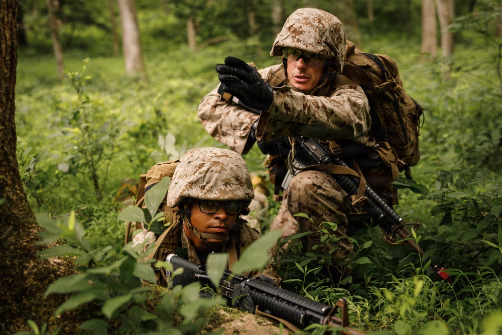 Alpha Company conducts SULE 1