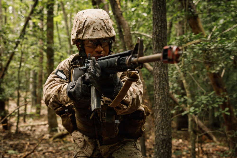 Alpha Company conducts SULE 1