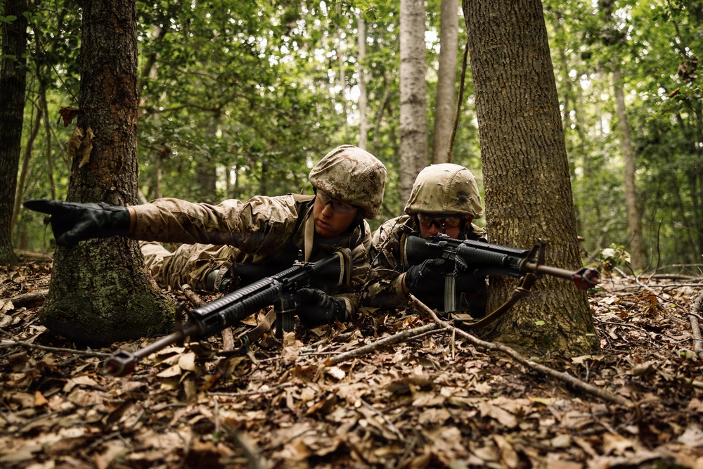 Alpha Company conducts SULE 1