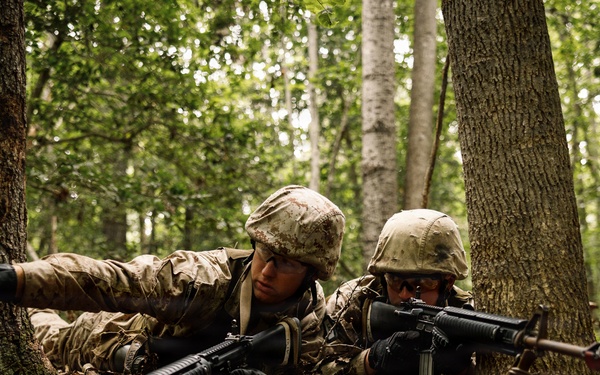 Alpha Company conducts SULE 1