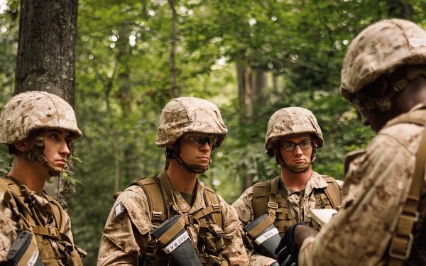 Alpha Company conducts SULE 1
