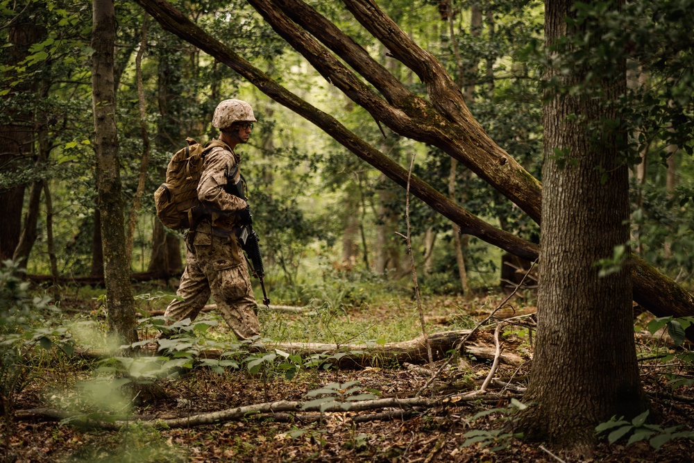 Alpha Company conducts SULE 1