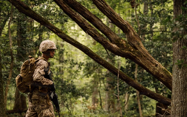 Alpha Company conducts SULE 1