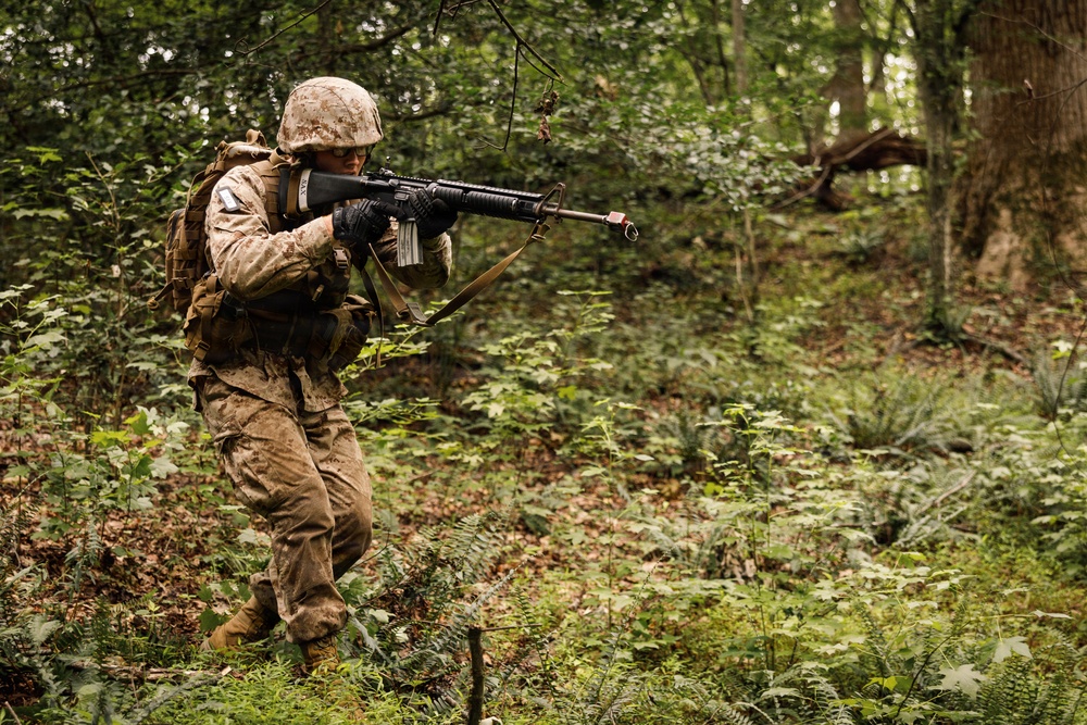Alpha Company conducts SULE 1