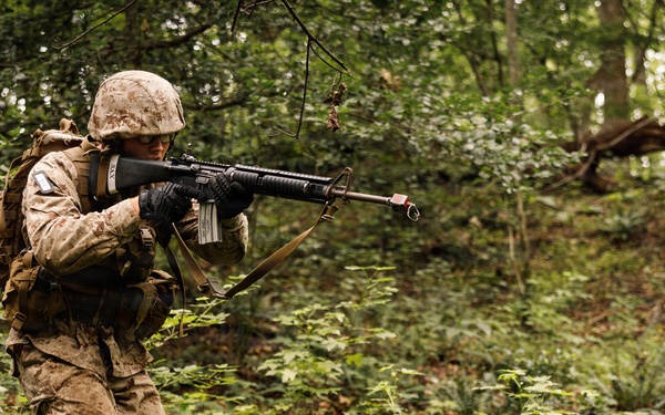 Alpha Company conducts SULE 1
