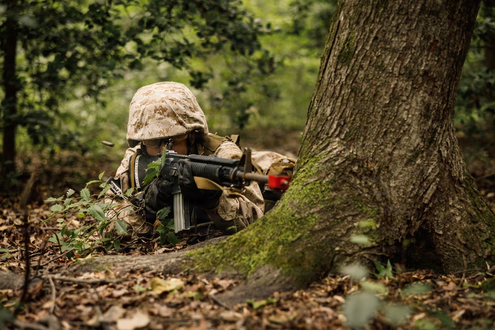 Alpha Company conducts SULE 1