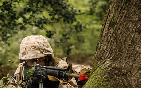 Alpha Company conducts SULE 1
