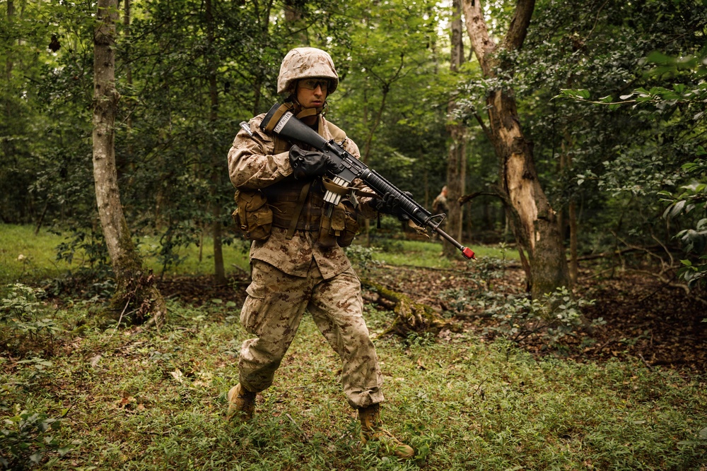 Alpha Company conducts SULE 1