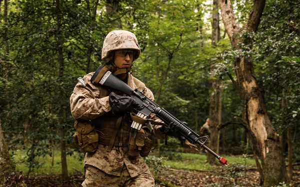 Alpha Company conducts SULE 1