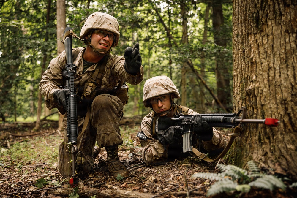Alpha Company conducts SULE 1