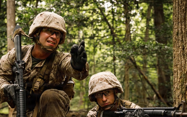 Alpha Company conducts SULE 1