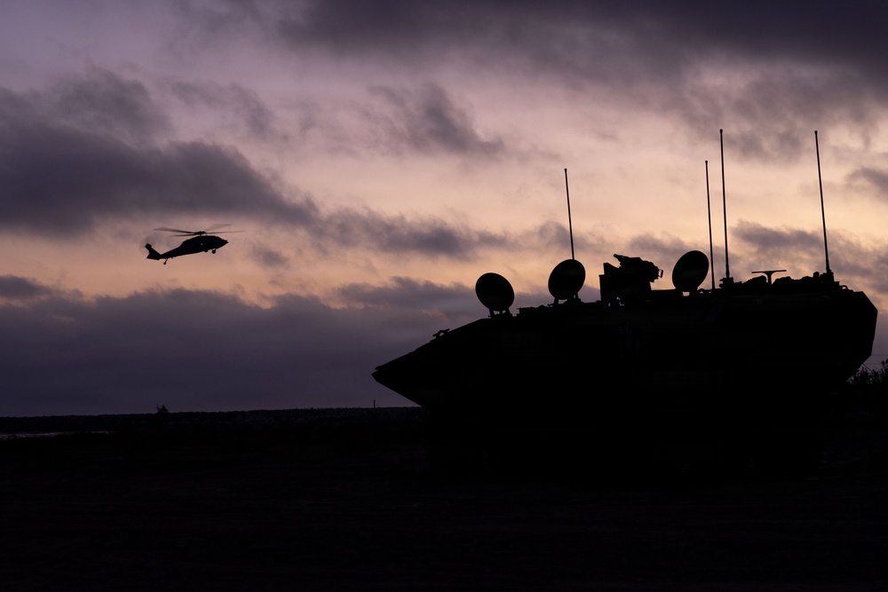 U.S. Marines with 3d AA Bn. conduct driving refamiliarization