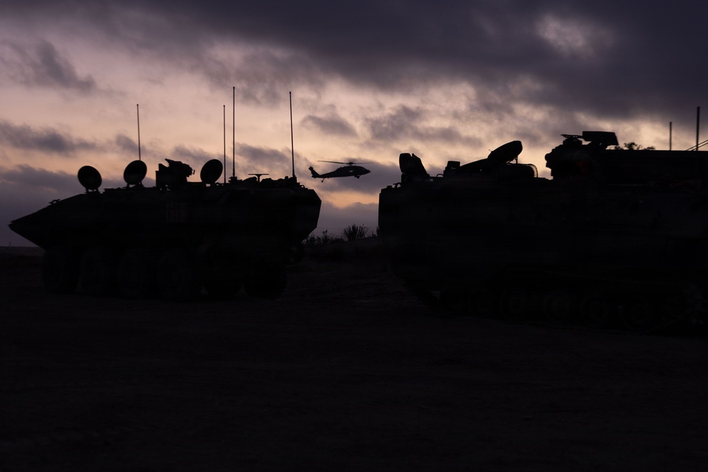 U.S. Marines with 3d AA Bn. conduct driving refamiliarization