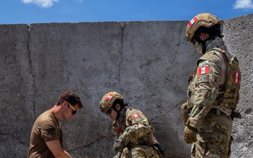 Multinational explosive ordnance disposal technicians train during RIMPAC 26