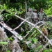 CTF 75 leadership visits Marines in Peleliu