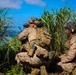 U.S. Marines with 3/7 Conduct Close Air Support training