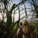 U.S. Marines with 3/7 Conduct Close Air Support training