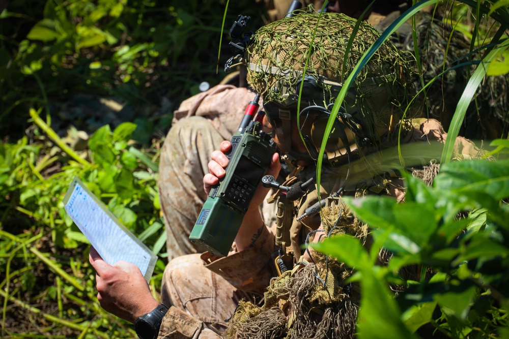 U.S. Marines with 3/7 Conduct Close Air Support training