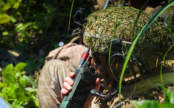 U.S. Marines with 3/7 Conduct Close Air Support training