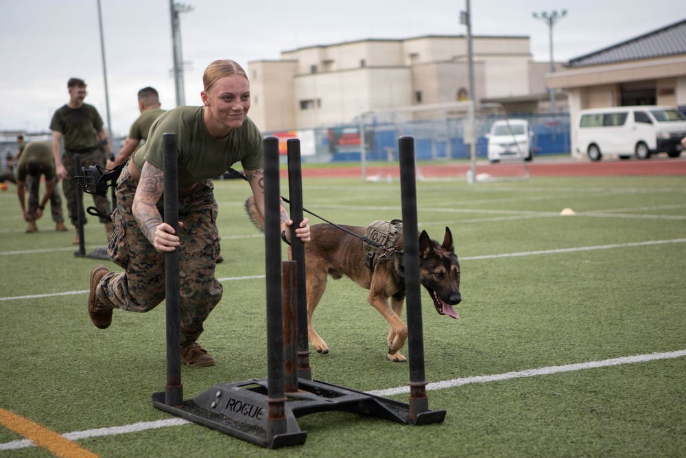 MCIPAC Sgt. Maj. conducts PT with MCAS Iwakuni Marines and Sailors