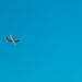 143d Airlift Wing conducts a 7-ship C-130J Hercules flyover