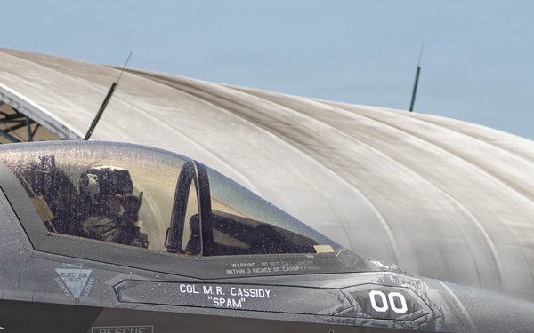 Lt. Col. Mahoney's Final Flight