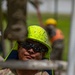 Arkansas National Guard Build Strong foundations with the Guatemala Army