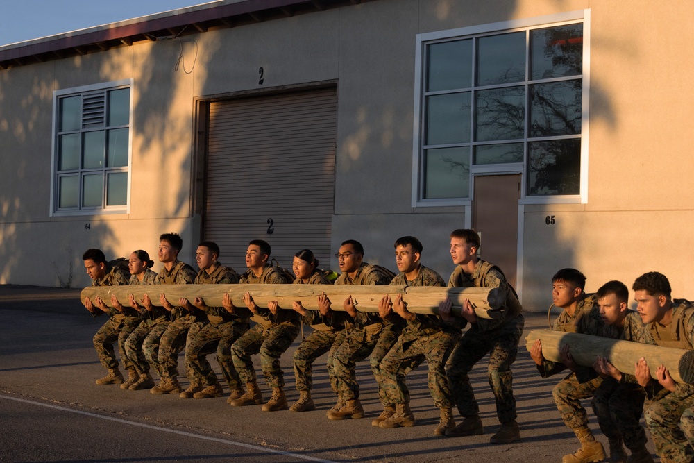 Marine Corps Martial Arts Program Gray Belt Advancement Course