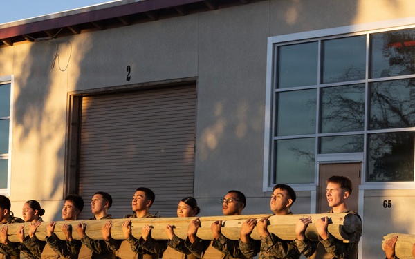 Marine Corps Martial Arts Program Gray Belt Advancement Course
