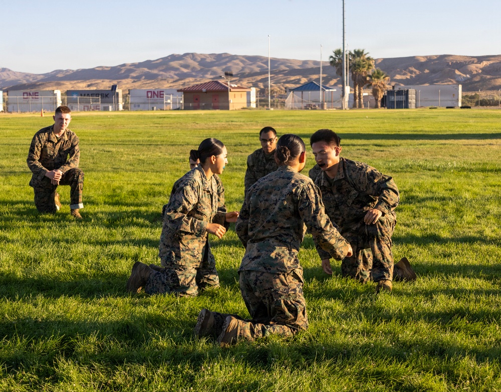 Marine Corps Martial Arts Program Gray Belt Advancement Course