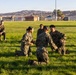 Marine Corps Martial Arts Program Gray Belt Advancement Course
