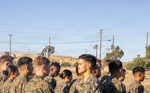 Marine Corps Martial Arts Program Gray Belt Advancement Course