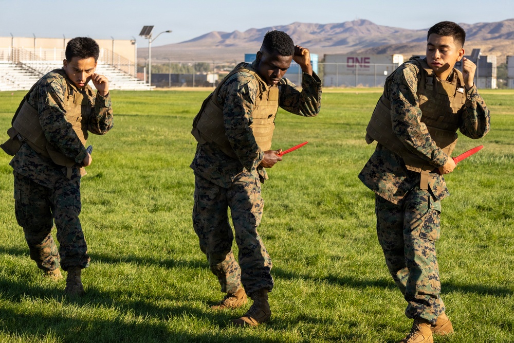 Marine Corps Martial Arts Program Gray Belt Advancement Course