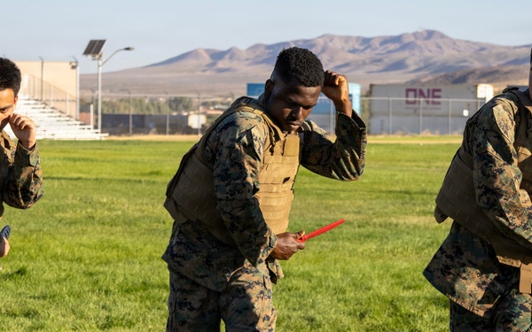 Marine Corps Martial Arts Program Gray Belt Advancement Course