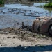 Fairport Harbor Dredging of the Grand River