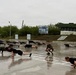 11th Airborne Paratroopers Train Mongolian Forces for Alaska Joint Exercise