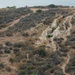 India Company Land Navigation