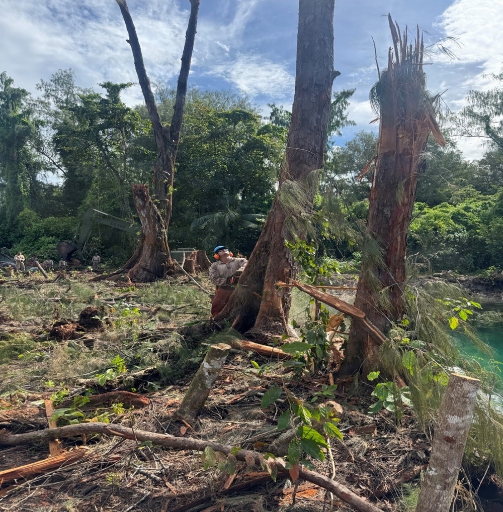 MCED-P 26.1 clears vegetation for future projects