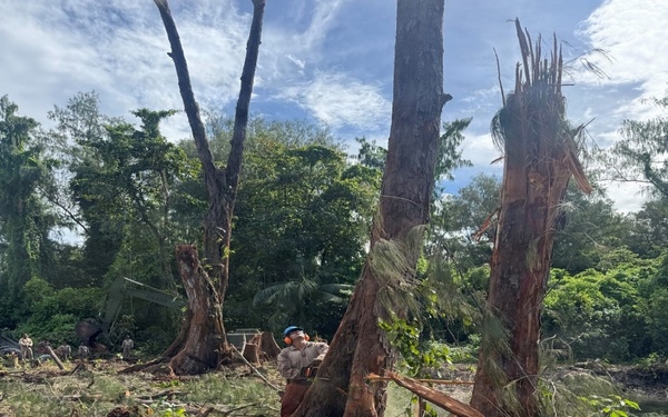 MCED-P 26.1 clears vegetation for future projects