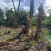 MCED-P 26.1 clears vegetation for future projects